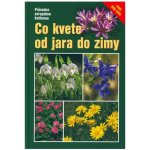 Co kvete od jara do zimy – Hledejceny.cz