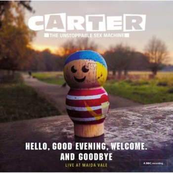 Hello, Good Evening, Welcome and Goodbye - Carter The Unstoppable Sex  Machine LP od 645 Kč - Heureka.cz