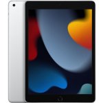 Apple iPad 10.2 (2021) 256GB Wi-Fi Silver MK2P3FD/A – Zboží Živě