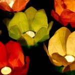 Plovoucí lampiony leknín 29 cm mix – Zboží Dáma