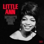 Little Ann - Detroit's Secret Soul LP – Sleviste.cz