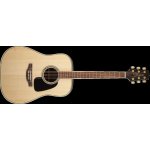 Takamine GD51-NAT – Zboží Mobilmania