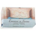 Nesti Dante Emozioni in Toscana Thermal Water přírodní mýdlo 250 g – Zboží Dáma