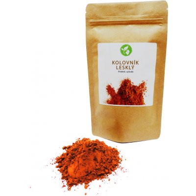 Gaia Store Kolovník lesklý prášek z plodu 100 g – Hledejceny.cz