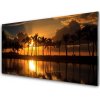 Obraz akrylový obraz Stromy Slunce Krajina 100x50 cm