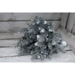 Autronic Eukalyptus Barva: Stříbrná – Hledejceny.cz