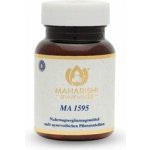 Maharishi Ayurveda MA 1595 60 tablet – Hledejceny.cz