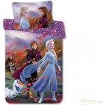 Jerry Fabrics povlečení Frozen 2 Wind 100 x 135 cm 40 x 60 cm – Zboží Dáma