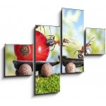 Obraz 4D čtyřdílný - 120 x 90 cm - ants deliver red currant with trailer of sunflower seeds mravenci dodávají červený rybíz s přívěsem slunečnicových semen – Zboží Mobilmania