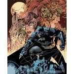 Zuty Batman poison IVy a catwoman 40 x 50 cm bez rámu a bez vypnutí plátna 8596530222644 – Hledejceny.cz