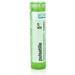 PULSATILLA POR 5CH GRA 4G – Hledejceny.cz