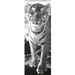 DINO Vertikální Tygr 1000 dílků – Zboží Dáma