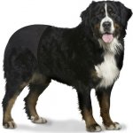 Duvo+ Hárací kalhotky XXL 60-70 cm – Zbozi.Blesk.cz