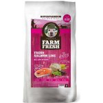 Topstein Farm Fresh Salmon Line Puppy/Active Large Breed 20 kg – Hledejceny.cz