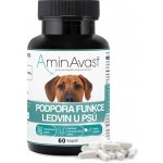 AminAvast Kočka 60 cps – Zboží Mobilmania