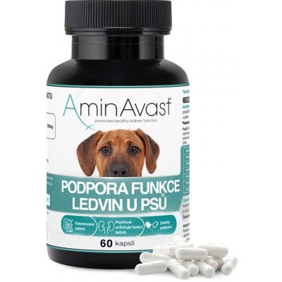 AminAvast Podpora funkce ledvin u psů 60 kapslí – Hledejceny.cz