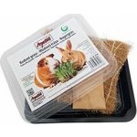 Jindřich Šíp Apetit hlodavčí tráva 30 g – Hledejceny.cz