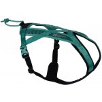 Non-Stop Postroj pro psy dogwear Rush teal – Zboží Mobilmania