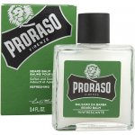 Proraso Eukalyptus balzám na vousy 100 ml – Zboží Dáma Proraso Eukalyptus balzám na vousy 100 ml – Zboží Dáma
