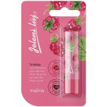 Regina Malina pomáda na rty jelení lůj 4,5 g – Zboží Dáma