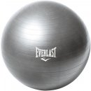 Everlast 65 cm