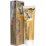 Dabur ajurvédská 100 ml – Hledejceny.cz