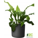 Gardners květináč Lora 30 cm antracitový – Zboží Mobilmania