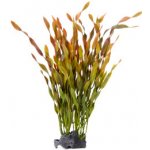 JK ANIMALS Vallisneria kámen 33 cm – Zboží Mobilmania