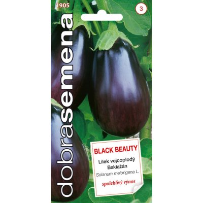 Dobrá semena Lilek vejcoplodý - Black Beauty 0,8g – Zboží Mobilmania