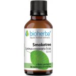 Bioherba Přírodní tinktura ruj vlasatá 50 ml – Hledejceny.cz