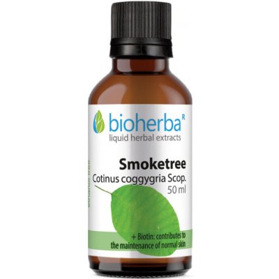 Bioherba Přírodní tinktura ruj vlasatá 50 ml – Hledejceny.cz