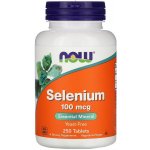 Now Foods Selenium 100 mcg 250 tablet – Hledejceny.cz