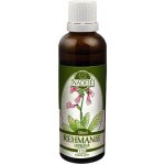 Naděje Rehmanie lepkavá výluh z bylin 50 ml – Hledejceny.cz