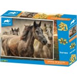 PRIME 3D PUZZLE Koně 300 ks – Sleviste.cz
