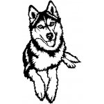 Vsepropejska Husky 3 dřevěná dekorace na zeď Rozměr (cm): 38 x 20 – Hledejceny.cz