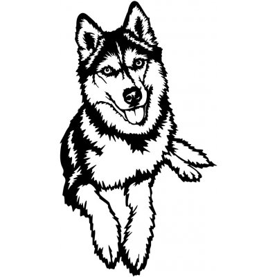 Vsepropejska Husky 3 dřevěná dekorace na zeď Rozměr (cm): 38 x 20 – Hledejceny.cz