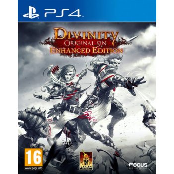 Divinity: Original Sin (Enhanced Edition)