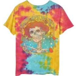 Grateful Dead kids t-shirt: Bertha Frame wash Collection