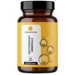 Chromozoom ANTIOXIDANT MINERALS 30 kapslí – Hledejceny.cz