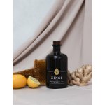 Zingi Nealkoholický zázvorový nápoj 0,5 l – Zbozi.Blesk.cz