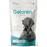 Geloren Dog L-XL 60 tablet – Hledejceny.cz