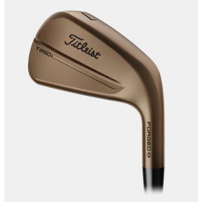Titleist T250 4G Oil Can set pravý 5-PW,GW ocel Regular – Hledejceny.cz