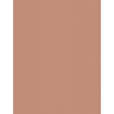 Clinique True Bronze Pressed Powder Bronzer Bronzující pudr 2 Sunkissed 9,6 g – Zboží Dáma