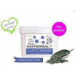 Dromy Gastroheal KONCENTRÁT 3 kg – Sleviste.cz