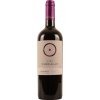 Víno Chocalán Carmenere New Reserva 2020 14% 0,75 l (holá láhev)