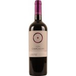 Chocalán Carmenere New Reserva 2020 14% 0,75 l (holá láhev)