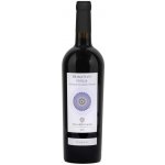 TINAZZI Primitivo DI Puglia IGT 2020 14% 0,75 l (holá láhev) – Hledejceny.cz