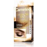 Delia Cosmetics Cameleo krémová profesionální barva na obočí 4.0 Brown 15 ml – Sleviste.cz