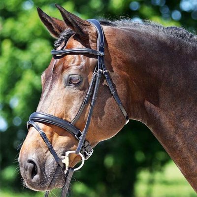 EuroClub Uzdečka Super Soft šv.nán. černá – Zboží Dáma