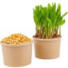 Osivo a semínko TINY GREENS Kukuřice - semínka na klíčení a microgreens